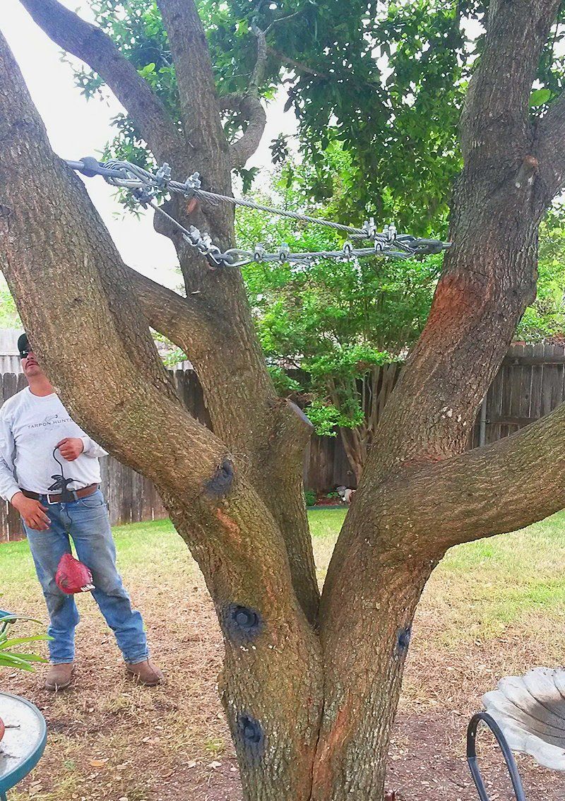 Split tree prevention and repair