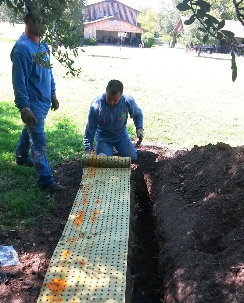 Tree preservation service