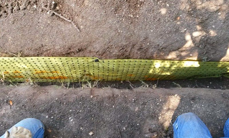 Tree preservation service