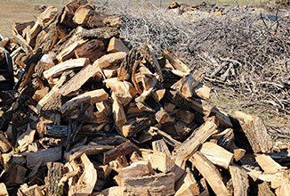 Pile of firewood