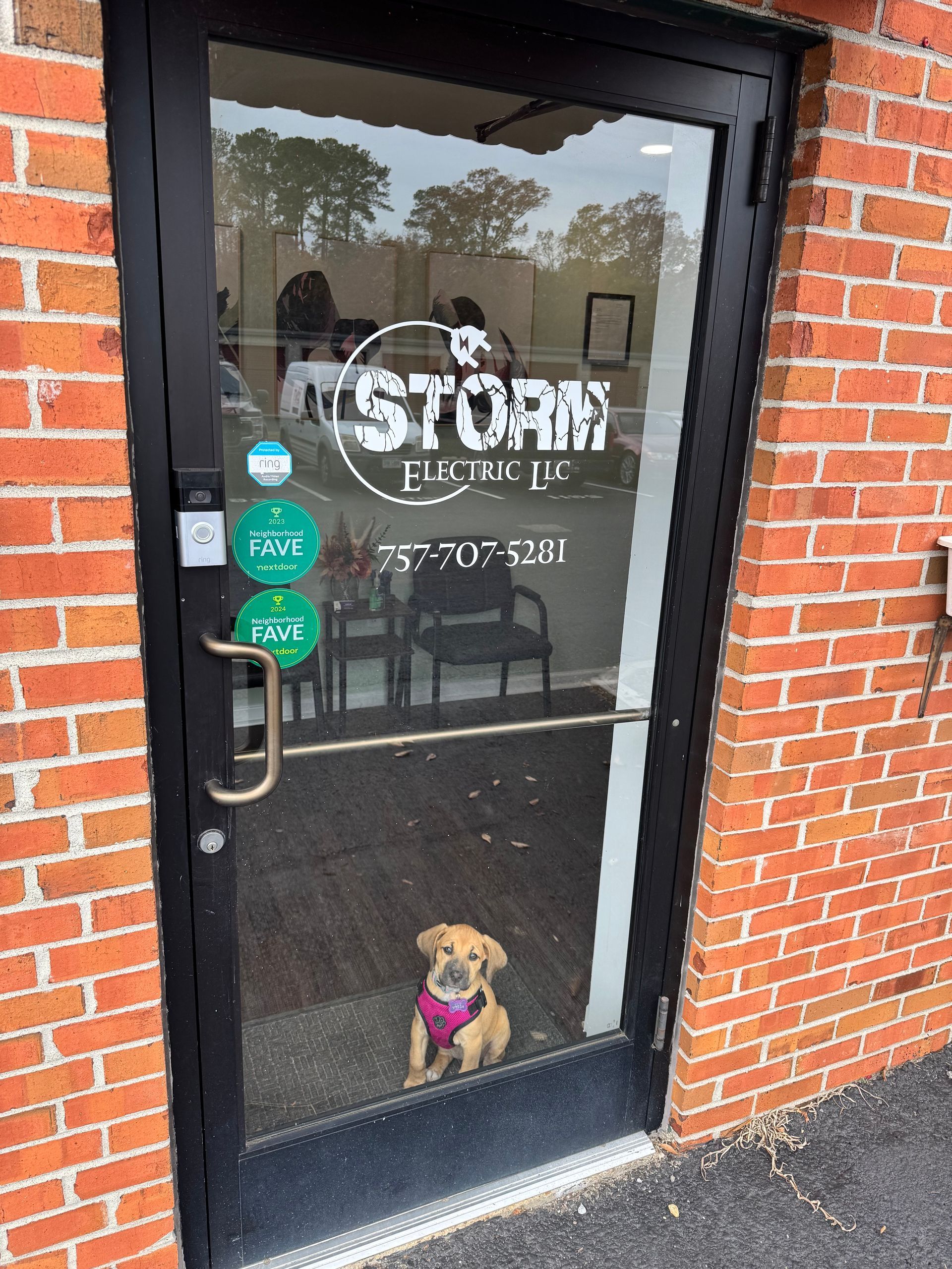 Small dog in a pink harness sits behind a glass storefront door with a brick frame