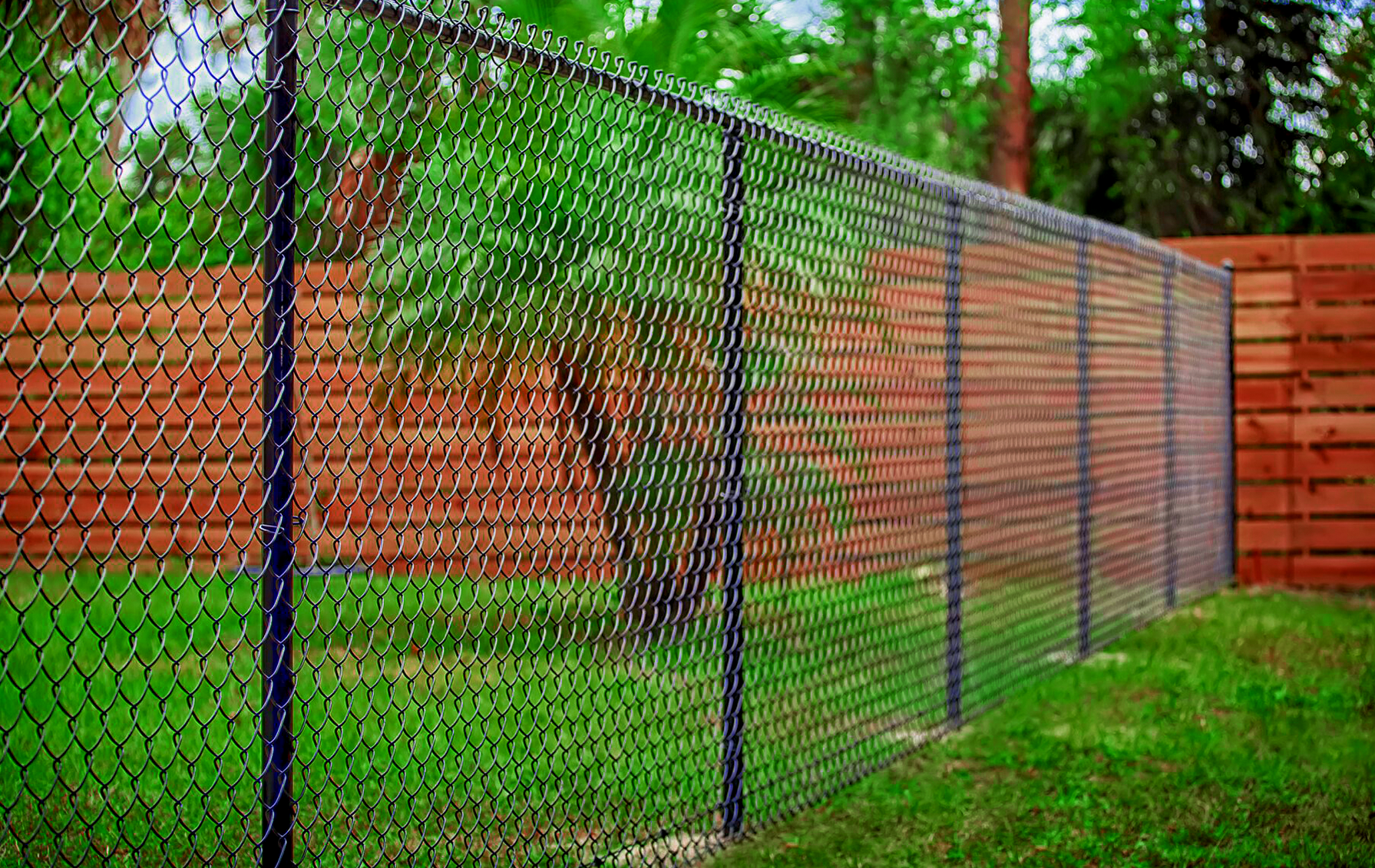 Chain Link Fence