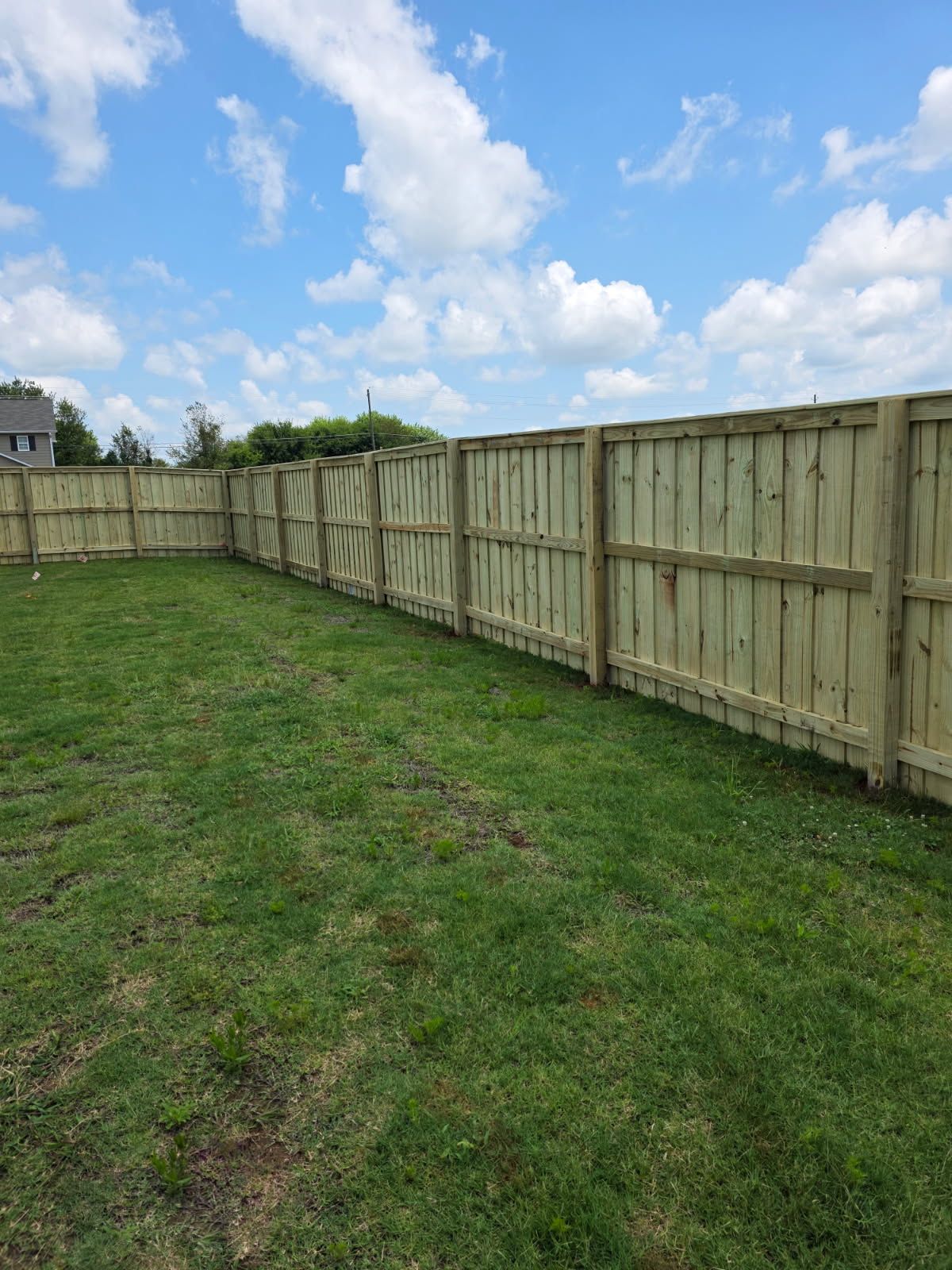 Wooden fence in a grassy yard under a blue sky with puffy white clouds.