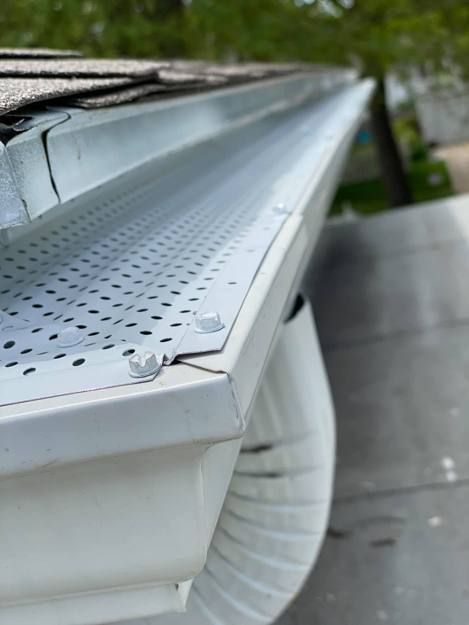White metal gutter along a roof edge with debris and a perforated gutter guard, viewed close up.