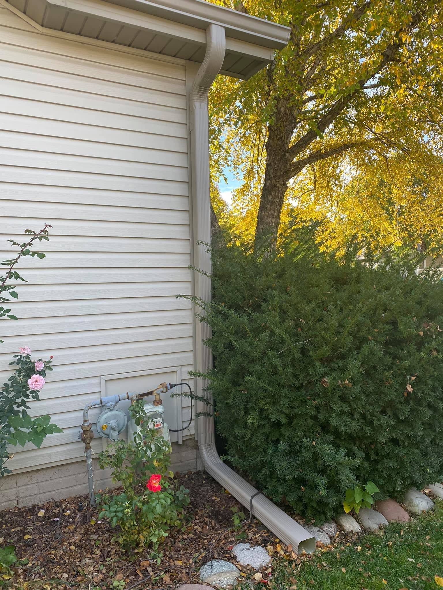 Side of a white house with bushes, a rose bush, and autumn trees in the yard