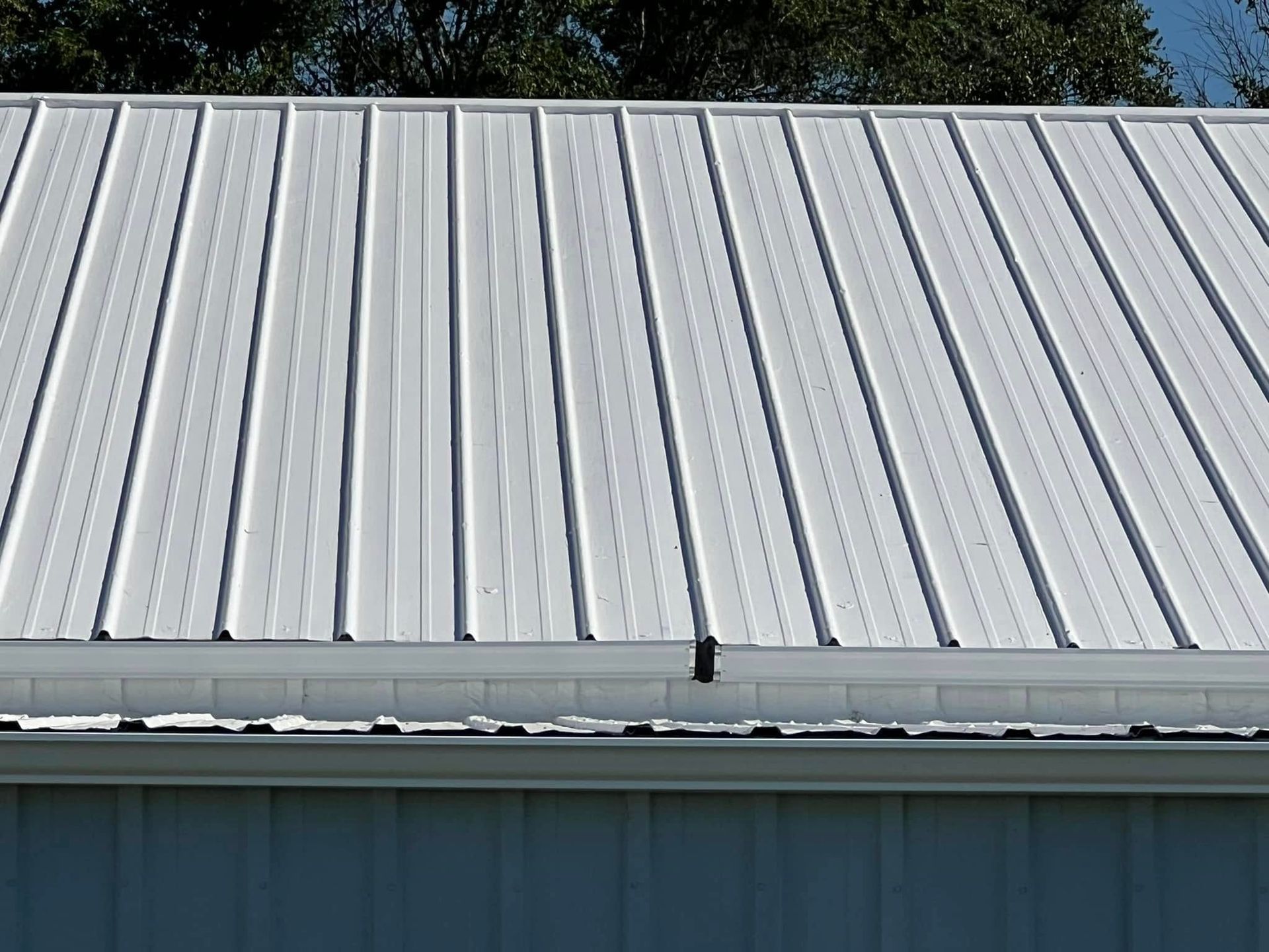 White corrugated metal roof with a skylight or vent line, seen against trees and sky