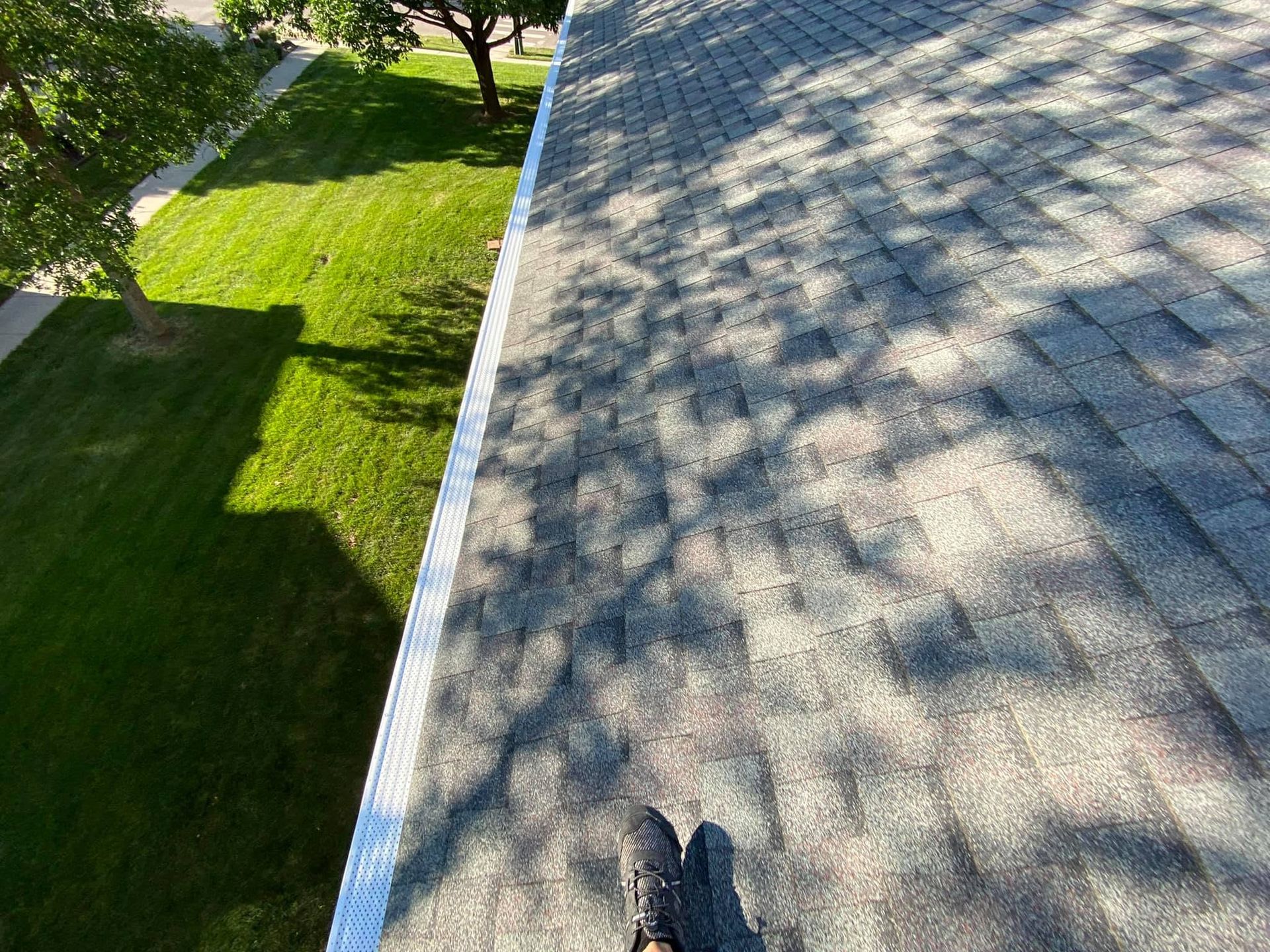 Walking on a sunlit sidewalk beside a grassy yard, with tree shadows across the pavement
