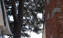 Poseidon Valley Tree Service's gallery