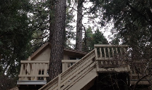 Poseidon Valley Tree Service's gallery