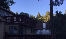 Poseidon Valley Tree Service's gallery