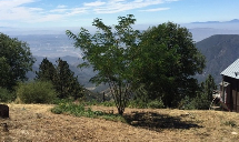 Poseidon Valley Tree Service's gallery