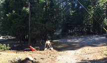 Poseidon Valley Tree Service's gallery