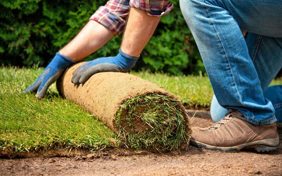Sod installations
