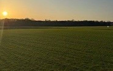 The sun is setting over a grassy field with trees in the background