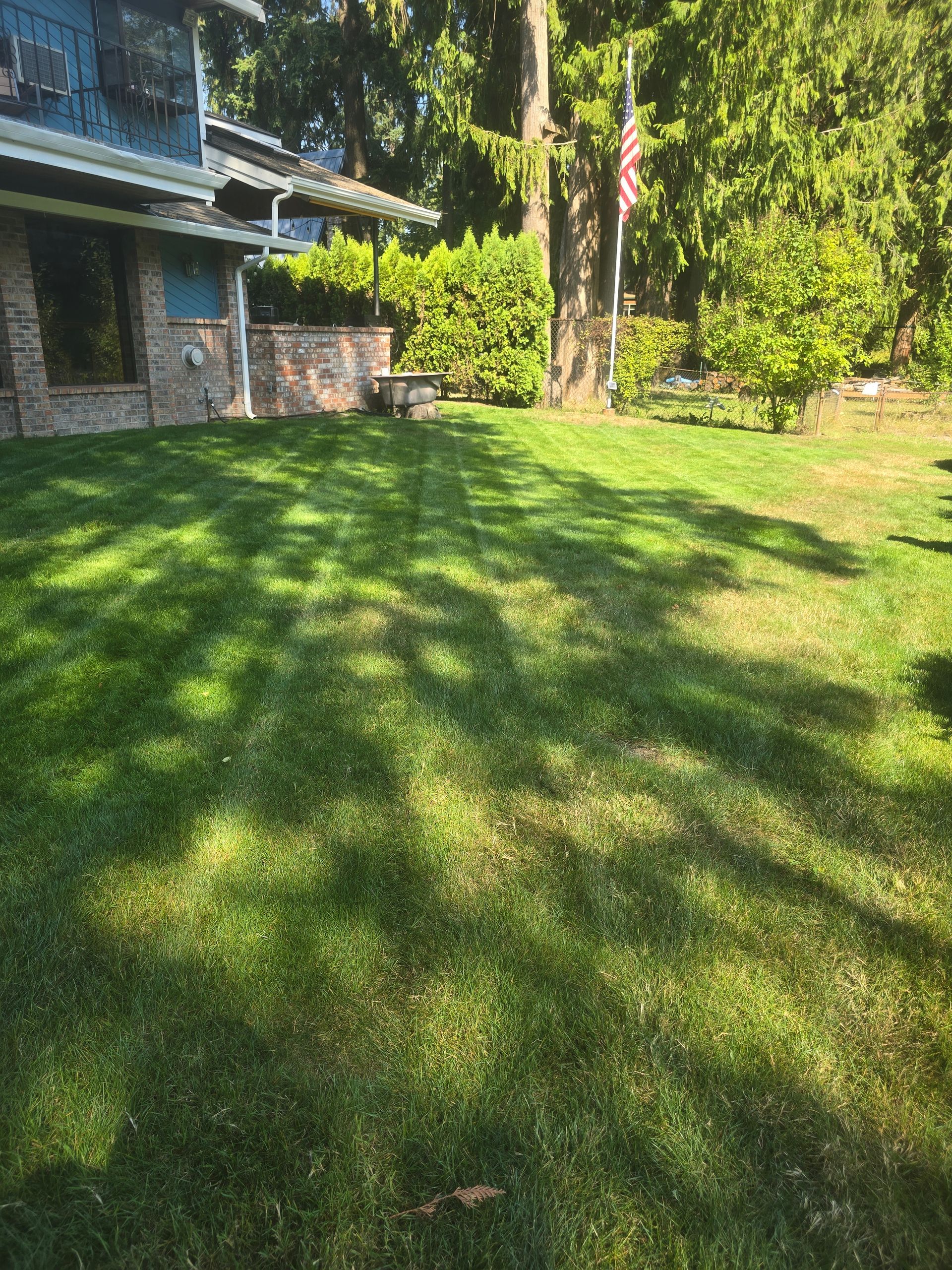 Sunny grassy yard beside a stone house and trees, with long shadows across the lawn