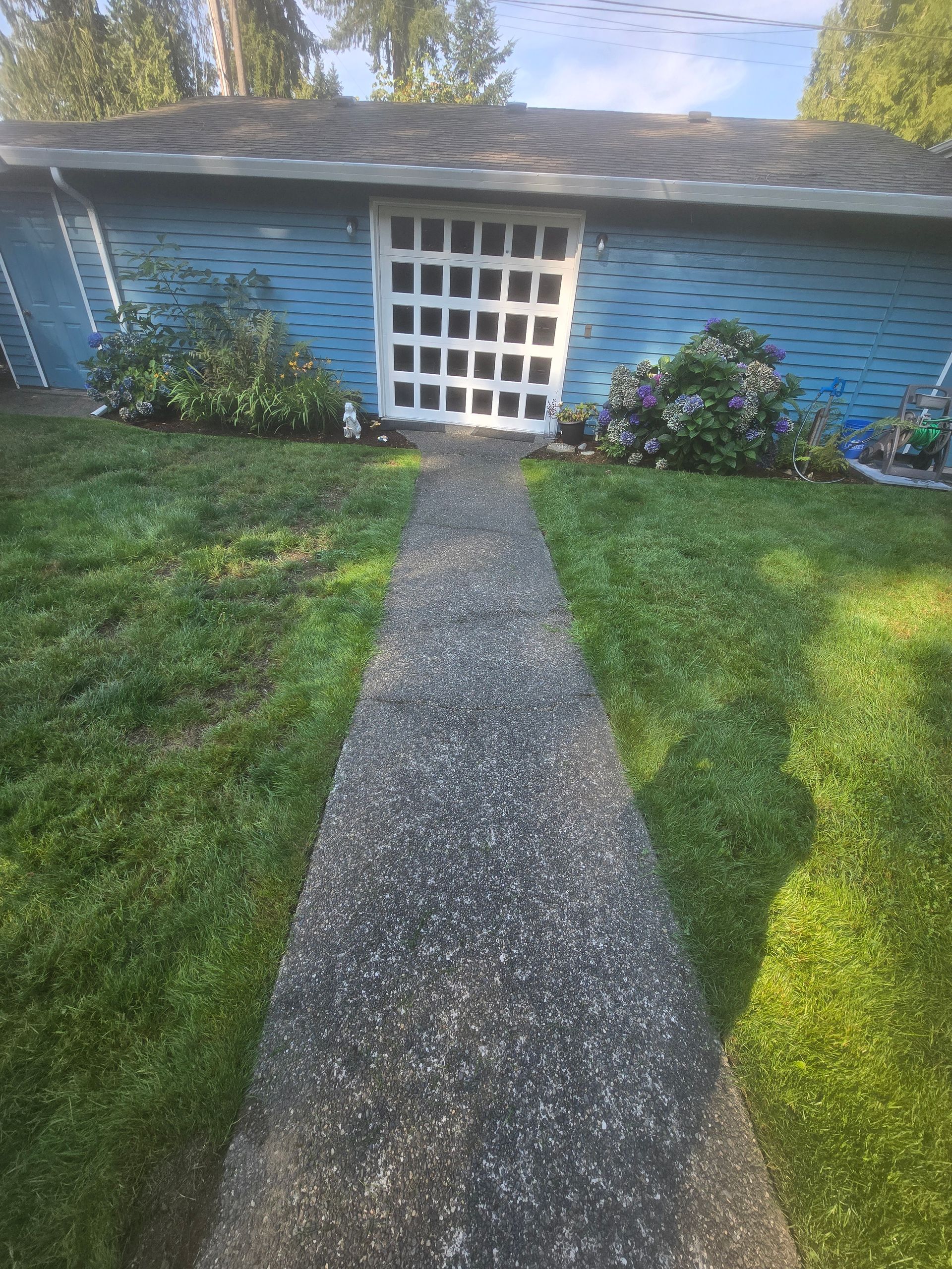 Stone path leading to a blue garden shed with white lattice doors, flanked by green lawn and flowers