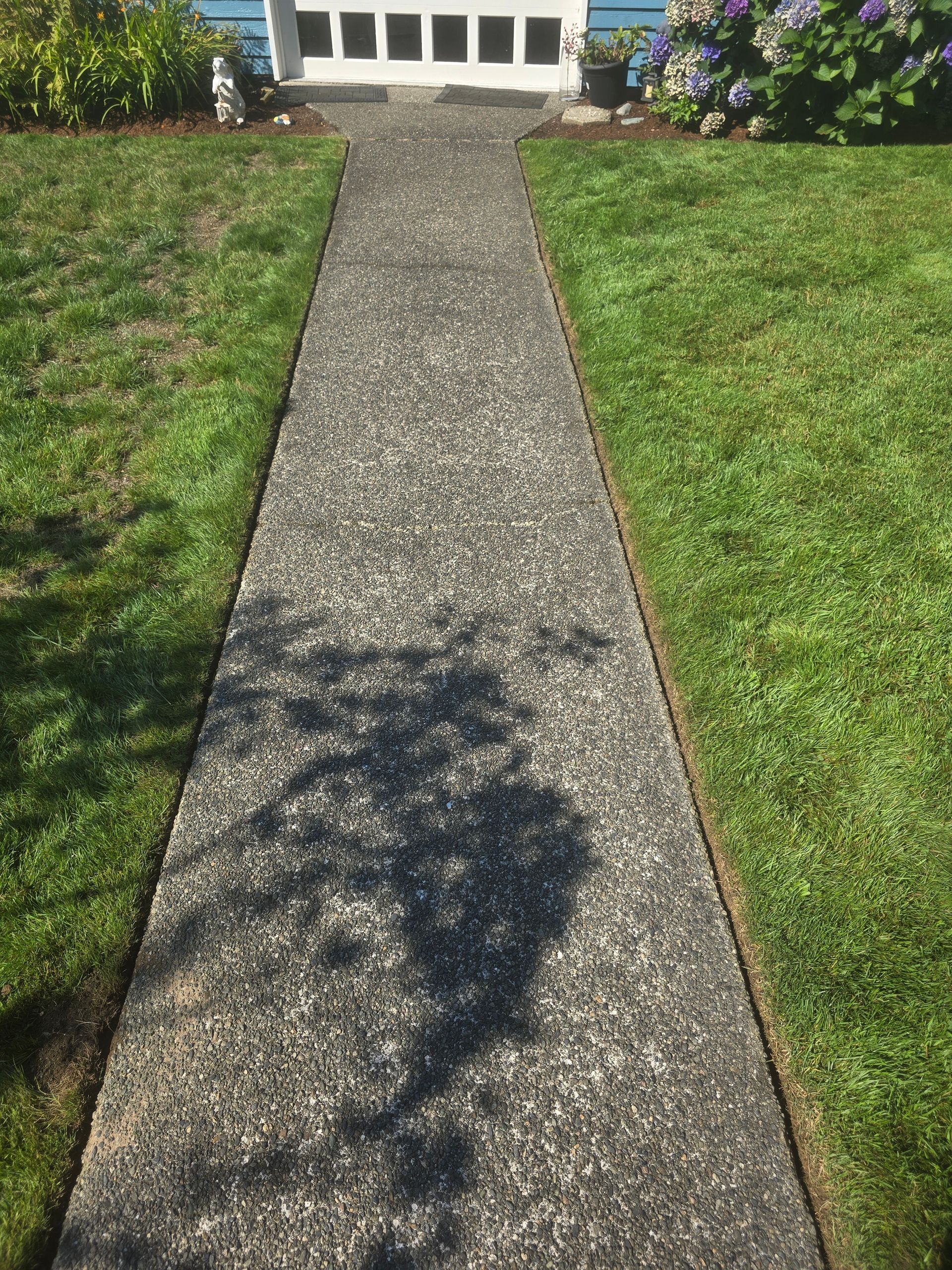 Gravel walkway through green lawn leading to a white building entrance in sunlight.