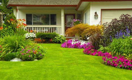 beautiful landscaping