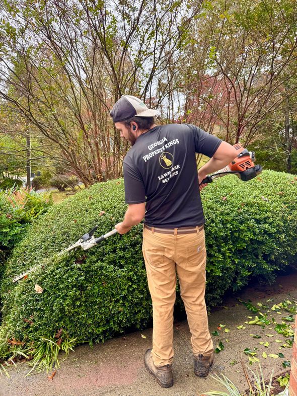 Man trimming a large green bush with electric hedge trimmers outdoors.