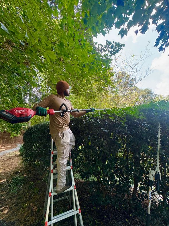 Georgia Property Kings-Lawn Care & Landscaping