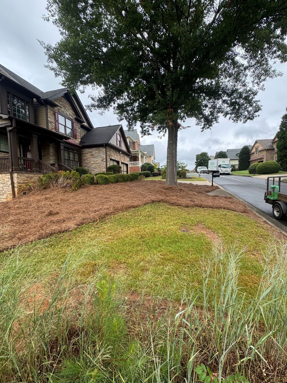 House with a mulched area around a tree, transitioning to grassy area with weeds. Cloudy day.