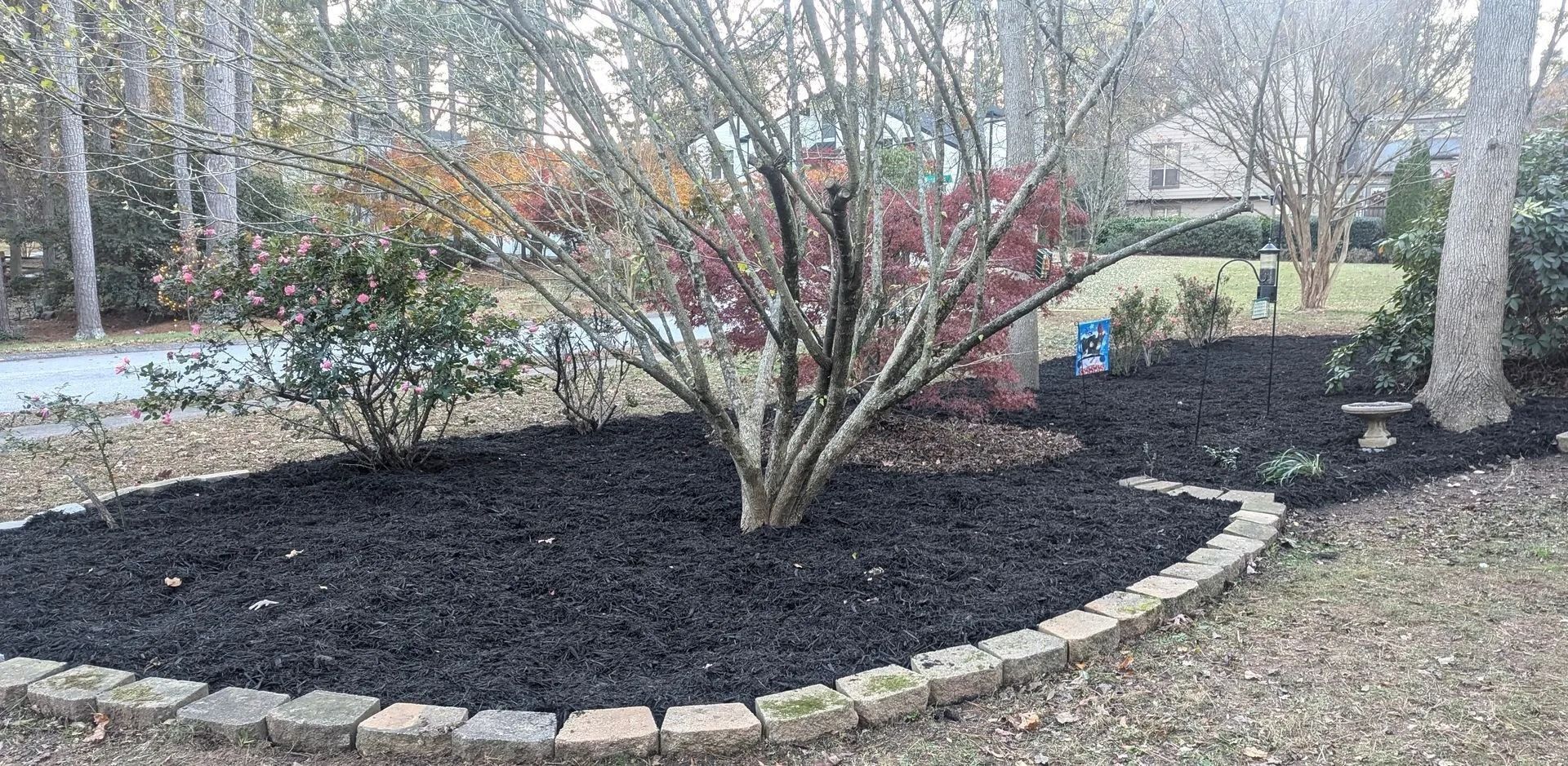Landscaped yard with black mulch, a tree, brick border, and shrubbery.