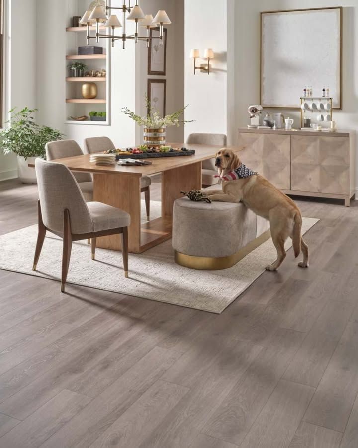 Modern dining room with wood table, gray chairs, and a tan dog sniffing a round ottoman on a rug.