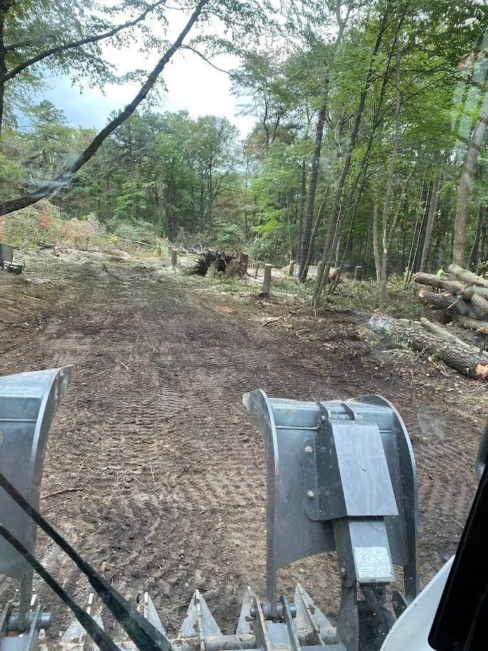 View from a heavy machine clearing a wooded dirt path, with cut logs stacked on the right.