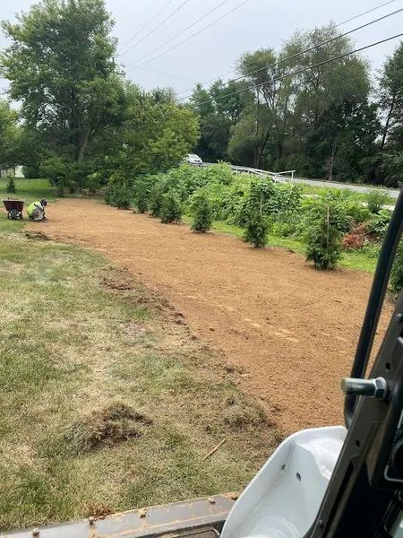 Freshly mulched garden bed along a grassy roadside with shrubs, trees, and a mower edge in view