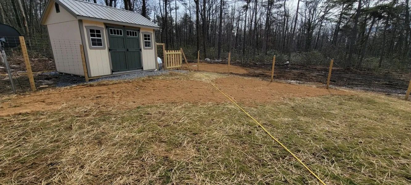 Backyard with a small shed, grassy lawn, and wooded tree line under overcast sky