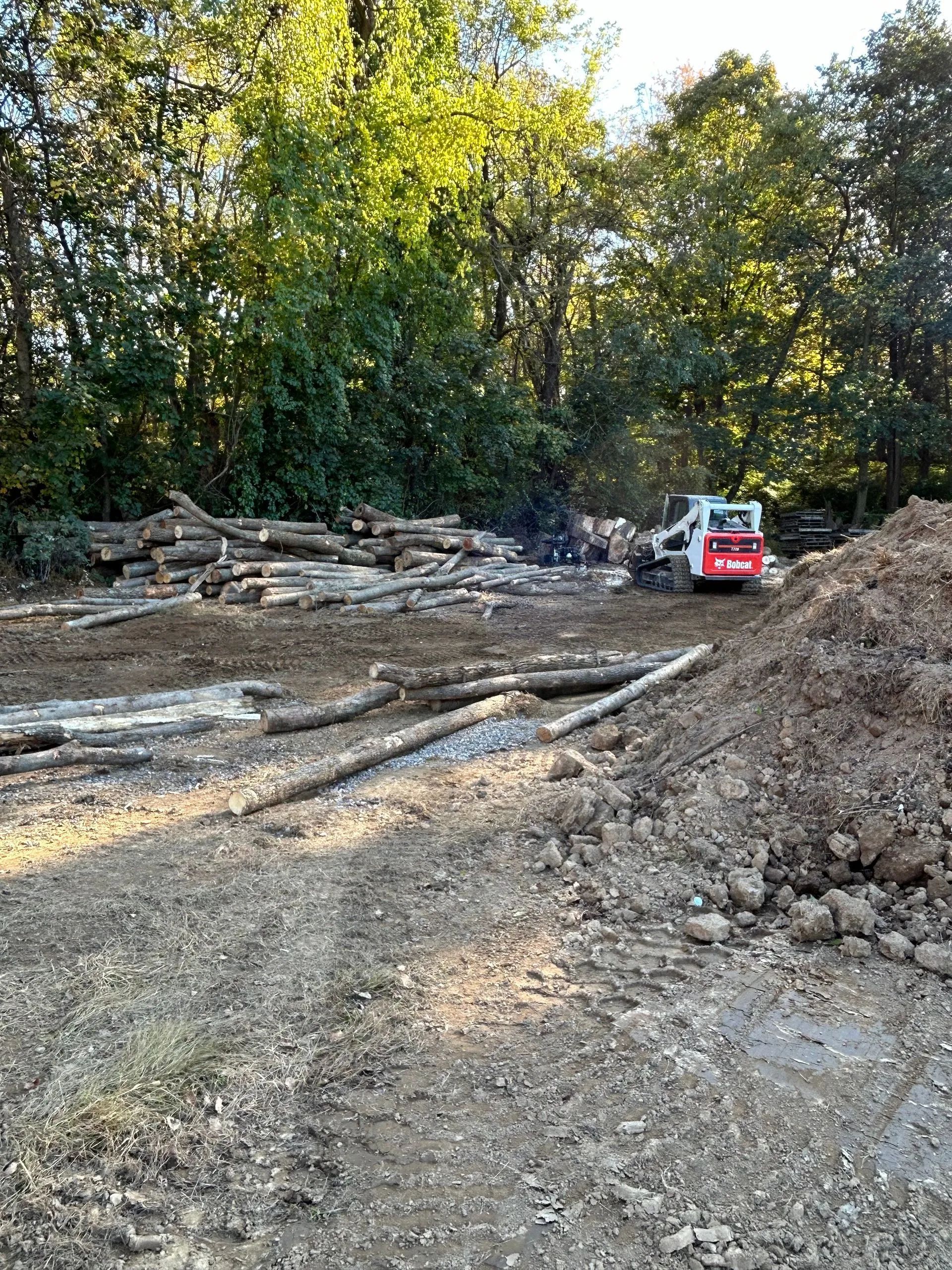 Cleared wooded lot with logs and debris, and a red skid steer near the tree line.