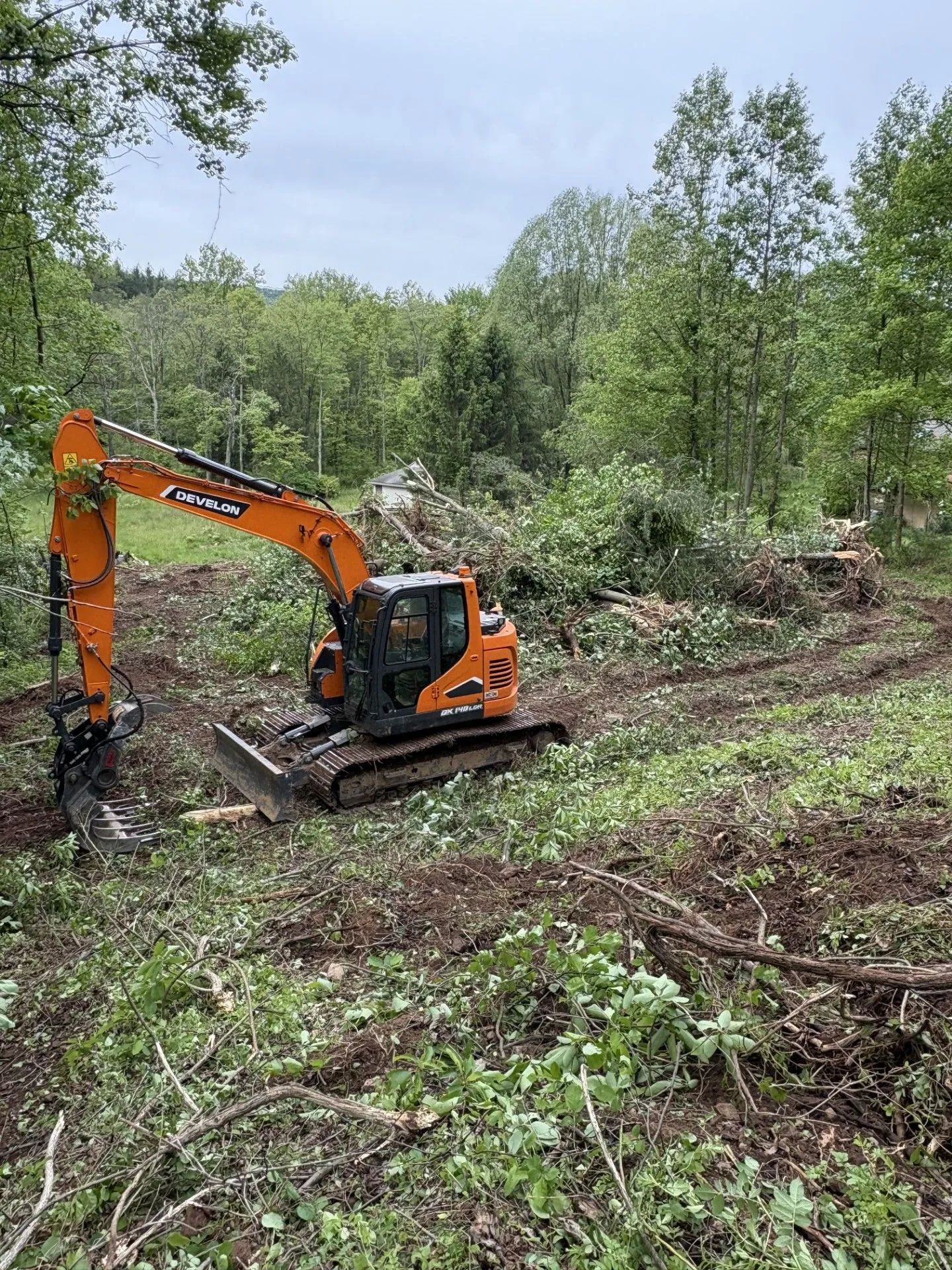 Orange excavator clearing muddy forest ground beside a dirt path in a wooded area