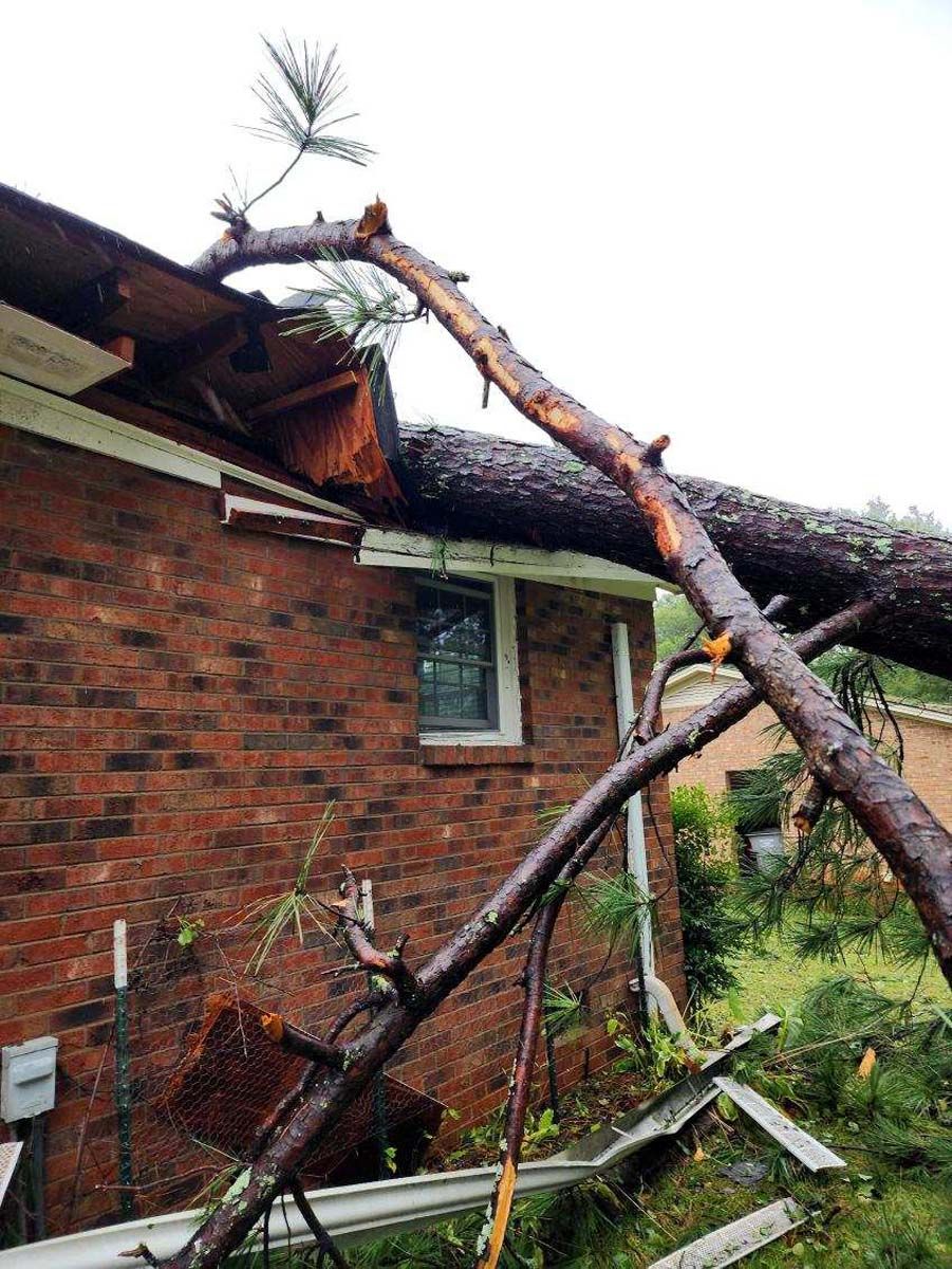 A tree has fallen on the roof of a brick house.