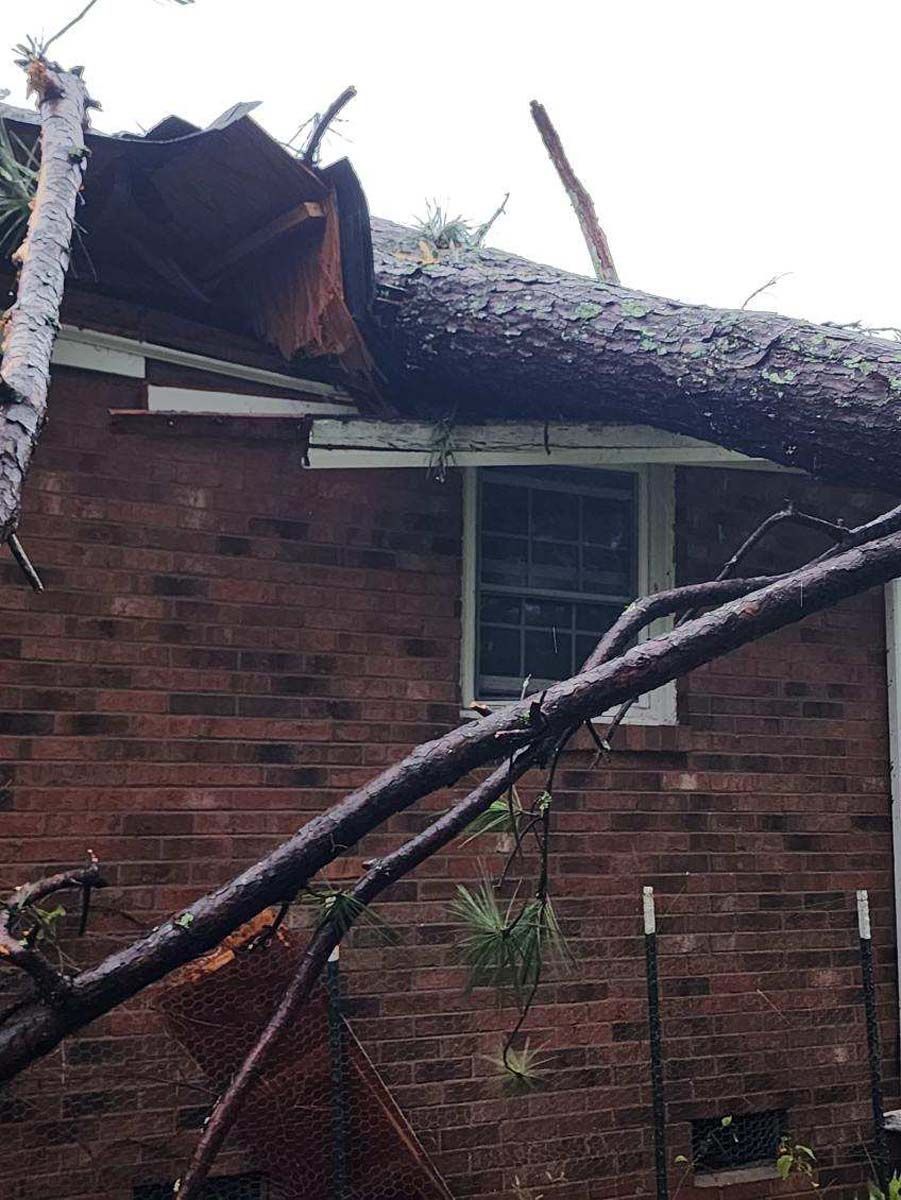 A tree has fallen on the roof of a brick house.