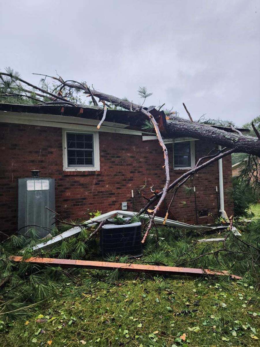 A tree has fallen on top of a brick house.
