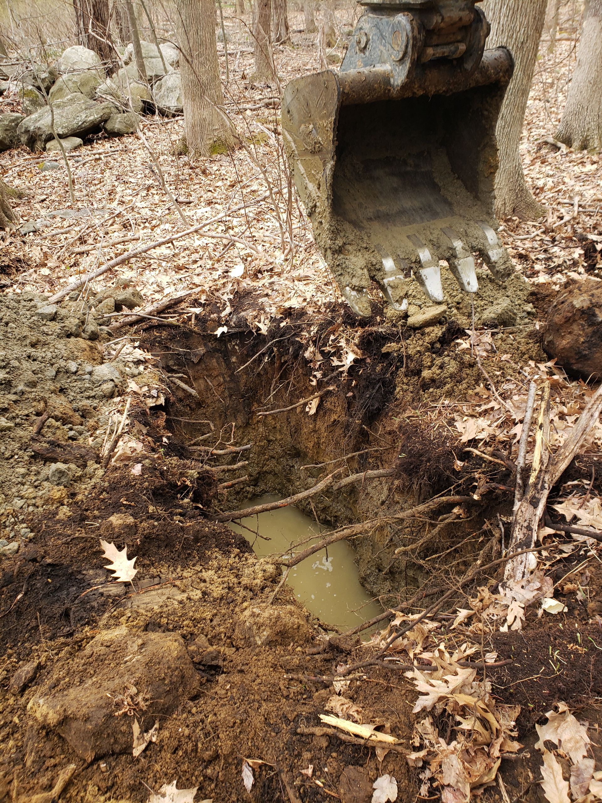 a digger is digging a hole in the ground in the woods