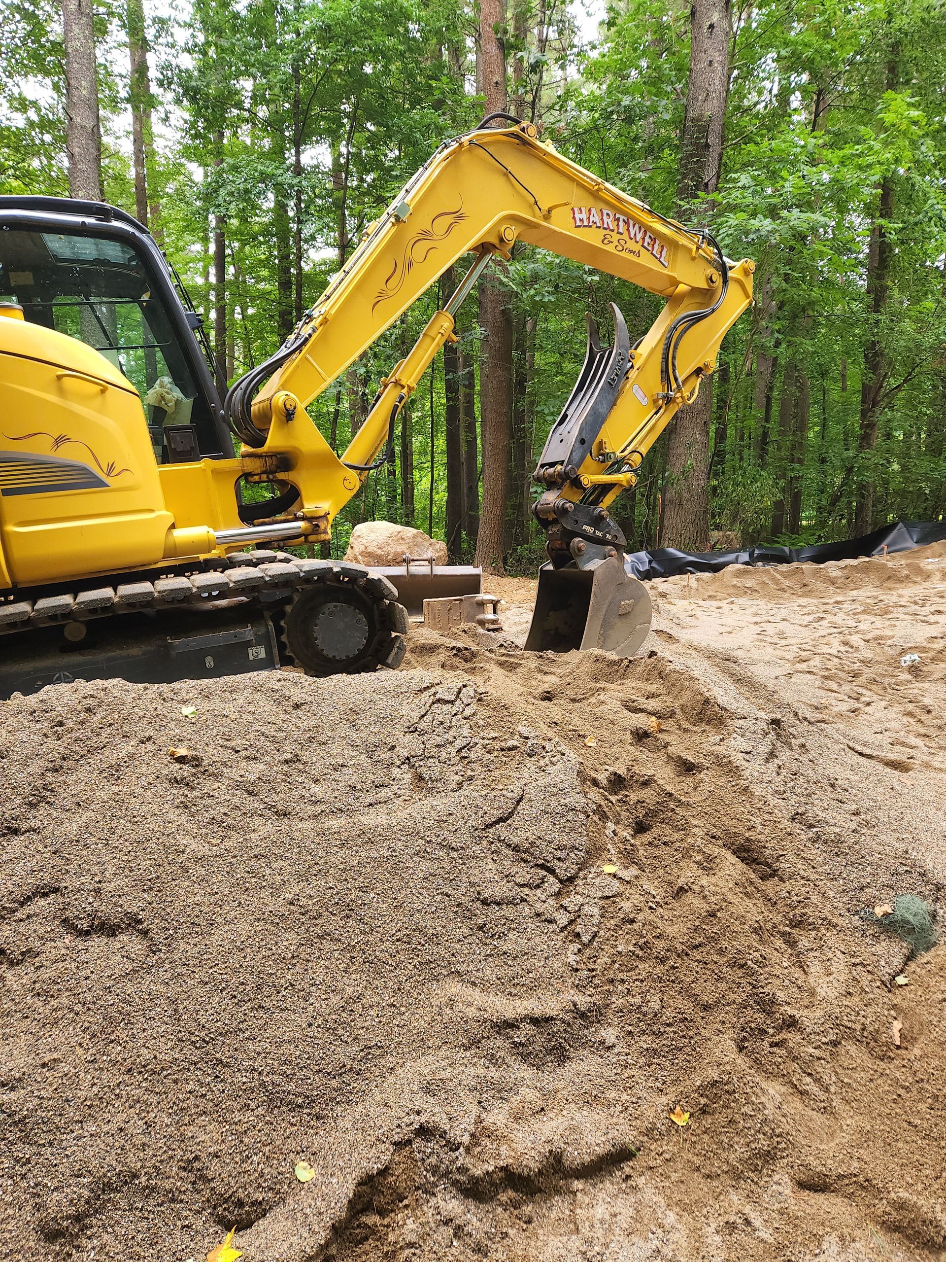 a yellow excavator is digging a hole in the dirt in the woods