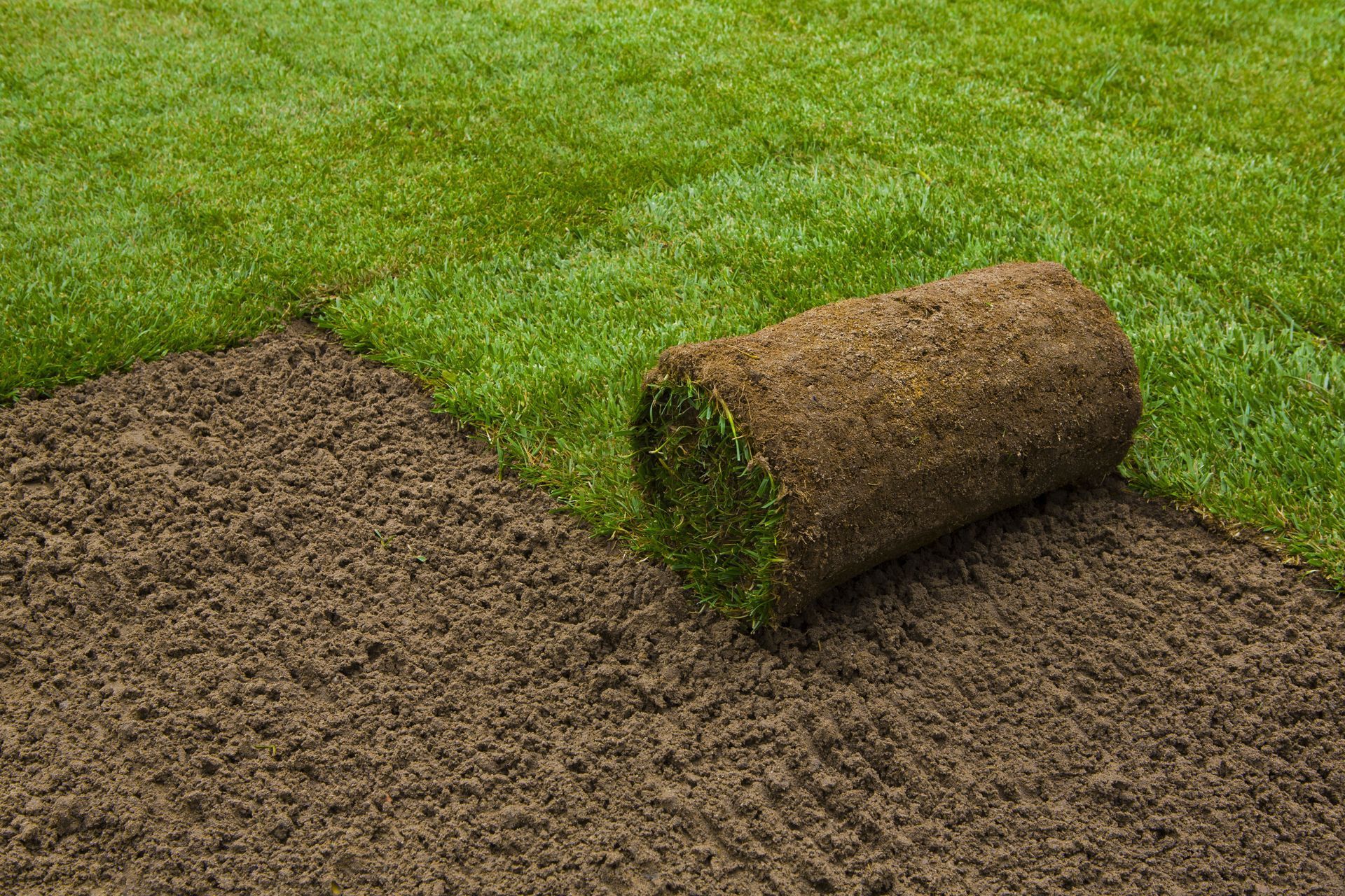 Rolled sod being laid over bare soil beside an existing green lawn