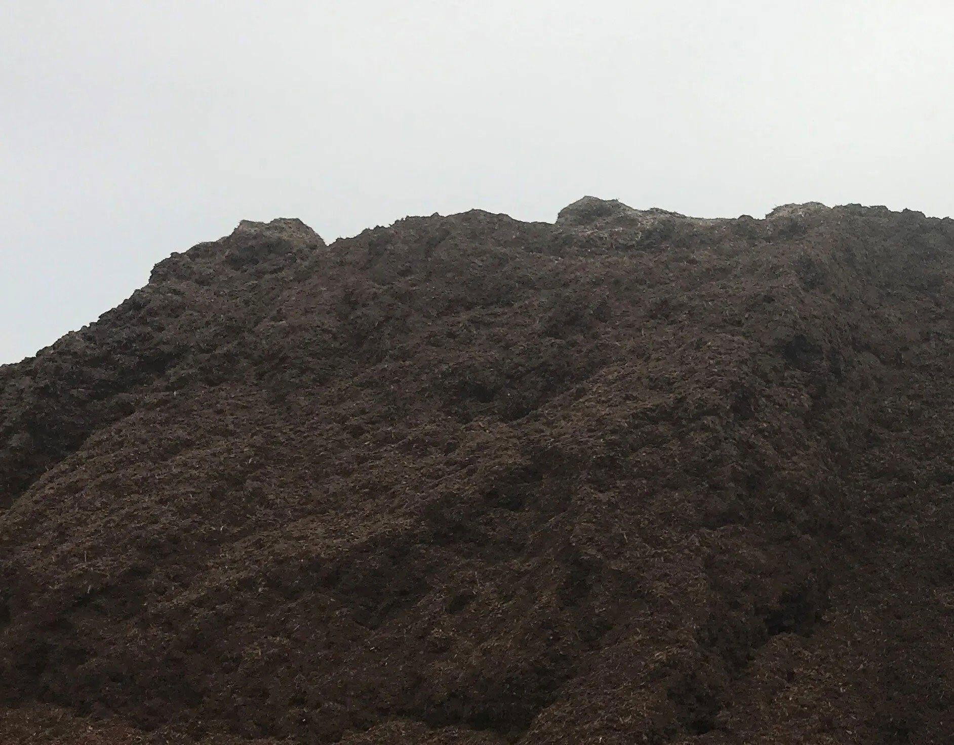Dark rocky hillside or mound under a gray sky.