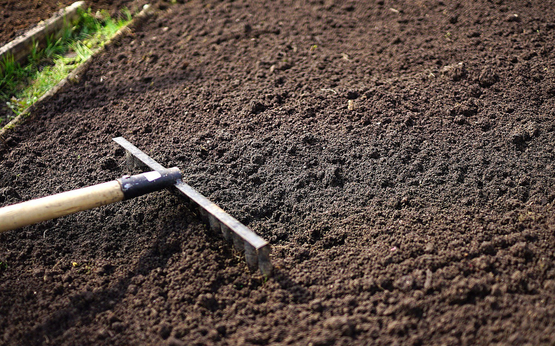 Garden rake with wooden handle on freshly tilled brown soil in a garden bed.