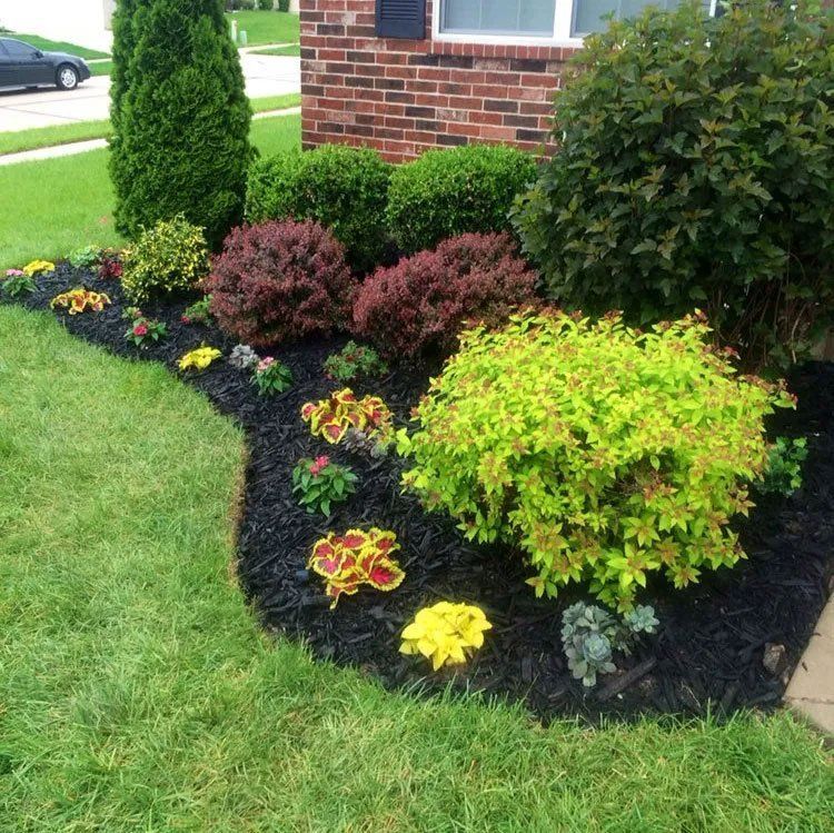 Colorful landscaped flower bed with shrubs and dark mulch beside a brick house
