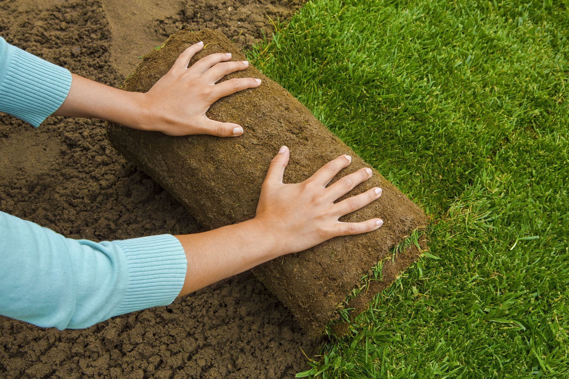 Hands rolling out brown soil beside green turf, showing lawn installation