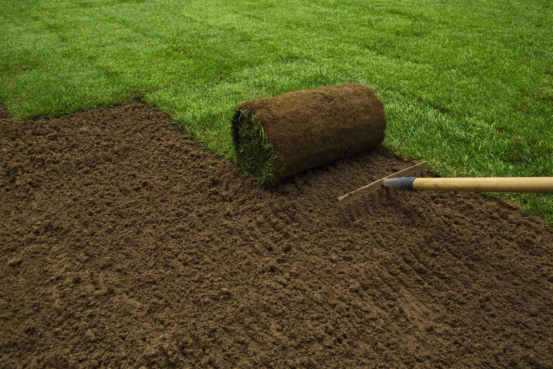A rolled strip of sod being laid over bare soil beside a green lawn with a shovel handle nearby