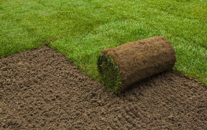 Rolled sod piece on brown dirt beside a patch of green grass