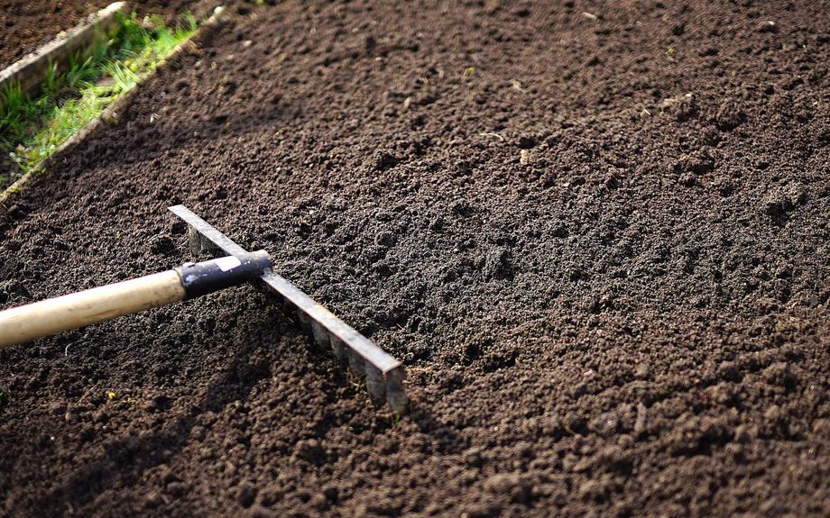 Garden rake smoothing dark soil in a freshly prepared garden bed