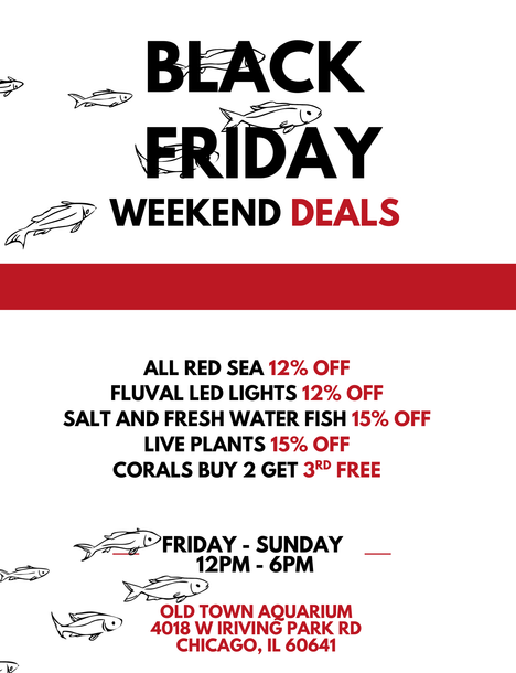 Black Friday weekend deals at Old Town Aquarium, Red Sea items, Fluval lights, fish, and plants are discounted. Corals are buy 2 get 1 free.