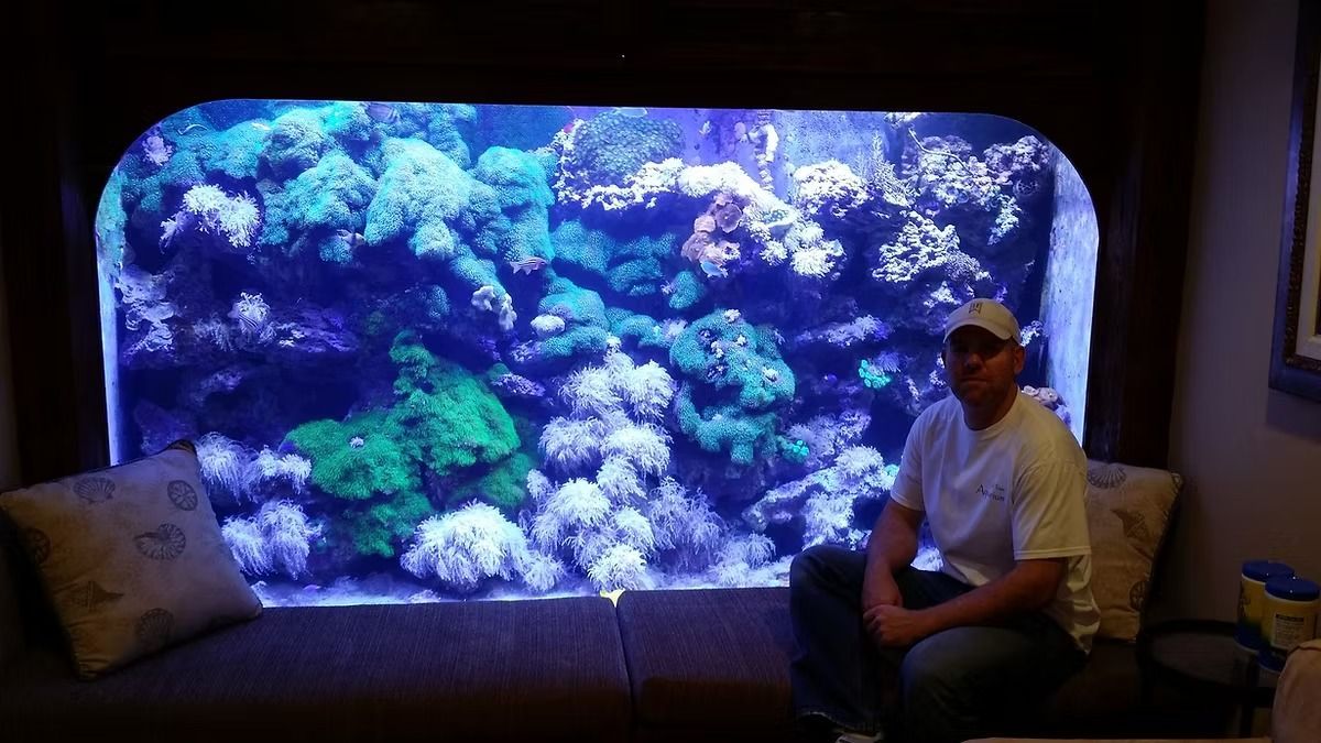 Man seated beside a large, colorful coral reef aquarium. Deep blues, greens, and whites dominate the tank.