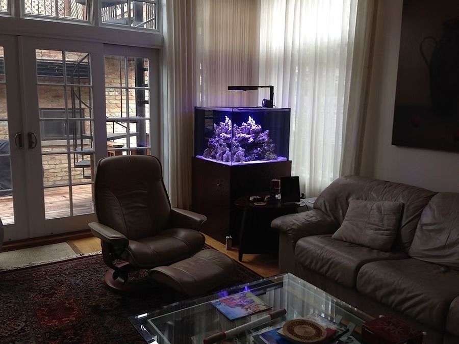 Living room with a large reef aquarium; a brown recliner, sofa, and glass table.