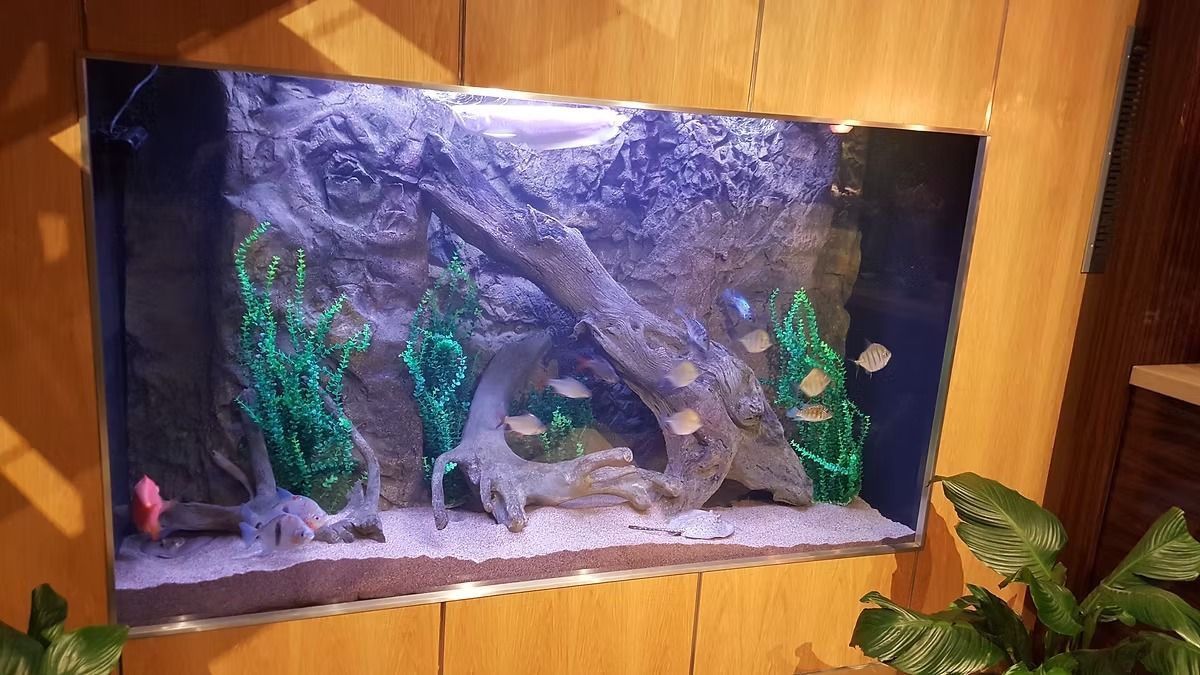 Fish tank built into a wood-paneled wall, with fish, decorations, and a sandy substrate.