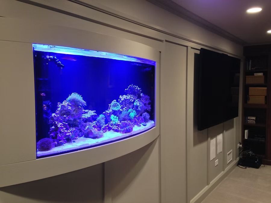 Reef aquarium with blue light, mounted in wall, next to a large flat-screen TV and bookshelves.